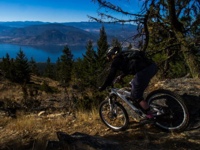 Cranksgiving - 3 Blind Mice