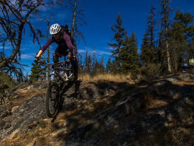 Cranksgiving - 3 Blind Mice