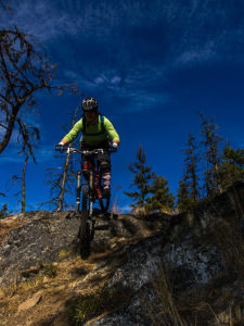 Cranksgiving - 3 Blind Mice