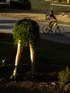 Cranksgiving - 3 Blind Mice