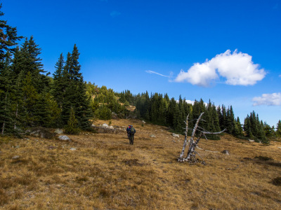Cranksgiving - Brent Mtn.