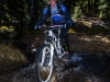 Cranksgiving - Sheep Rocks