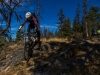 Cranksgiving - 3 Blind Mice