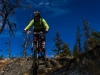 Cranksgiving - 3 Blind Mice