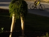 Cranksgiving - 3 Blind Mice