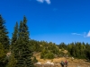 Cranksgiving - Brent Mtn.