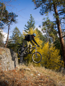 Okanagan sunshine and blondes.