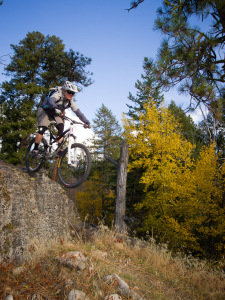 Okanagan sunshine and blondes.