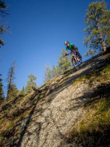 Holy Diver Trail Build Session