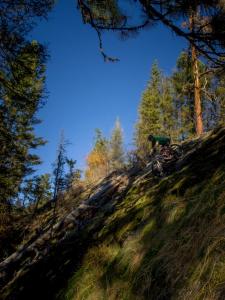 Holy Diver Trail Build Session