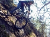 Holy Diver Trail Build Session