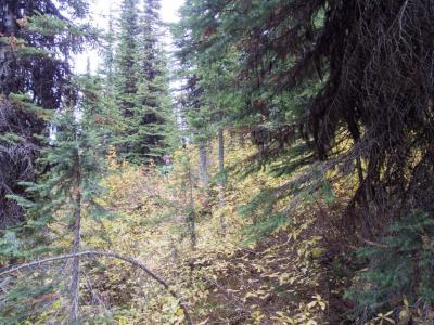 Scope mission from Reco Peak to Three Forks.  #retallack