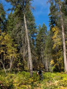 #3blindmice #ridebc #penticton