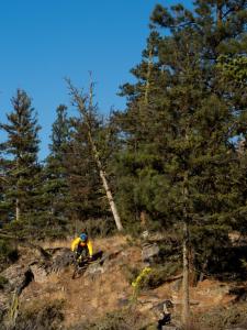 #mtbtrails #explorebc #ridepenticton #penticton