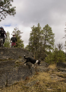 Naramata & more Germans