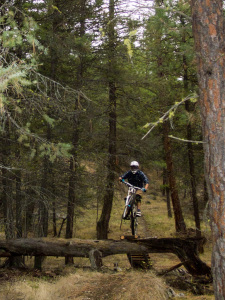 Naramata & more Germans