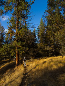 Naramata & more Germans