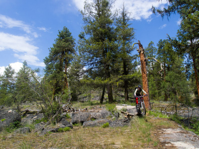 Girls Got Skills 2012