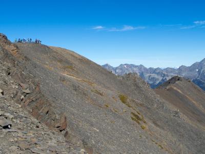 #goosecrew #retallack #reco