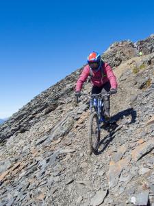 #goosecrew #retallack #reco