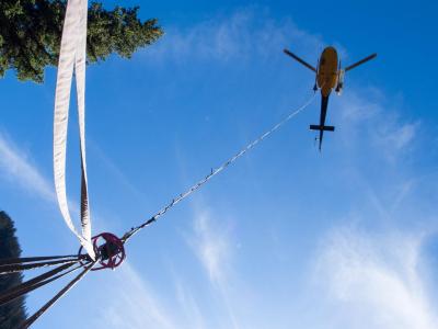 #goosecrew #retallack #reco