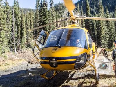 #goosecrew #retallack #reco