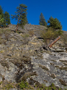 Hurtin For Vert 2012 - Day 3