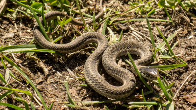 Naramata with Paul and Dani