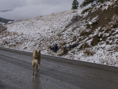 Ladies Hucktoberfest - 2