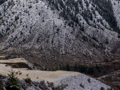 Ladies Hucktoberfest - 2