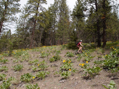 May Long Weekend Riding - Smith Creek