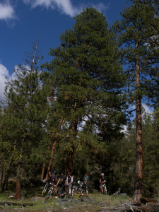 May Long Weekend Riding - 3 Blind Mice