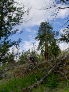 May Long Weekend Riding - 3 Blind Mice