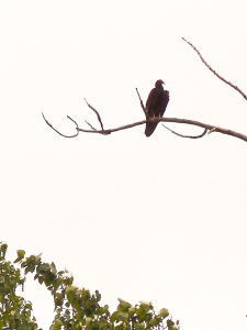 May Long Weekend Riding - 3 Blind Mice