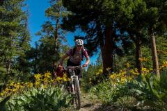 MTB Trails - Locals Guide Recon