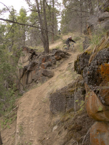 Puddle Peel Out 2012