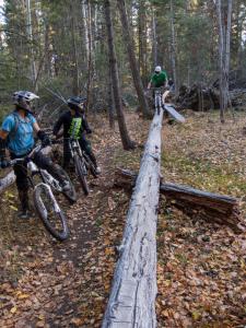 #ridethecariboo #pumpkinride #redshreds #williamslake