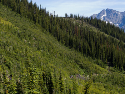 NRG - Retallack - Day 1