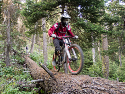 Bush Pilot Biking - Kobau Stag Ride
