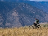 Bush Pilot Biking - Kobau Stag Ride
