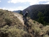 Bush Pilot Biking - Kobau Stag Ride