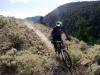 Bush Pilot Biking - Kobau Stag Ride