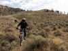 Bush Pilot Biking - Kobau Stag Ride