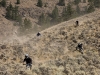 Bush Pilot Biking - Kobau Stag Ride