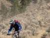 Bush Pilot Biking - Kobau Stag Ride
