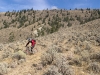 Bush Pilot Biking - Kobau Stag Ride