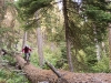 Bush Pilot Biking - Kobau Stag Ride