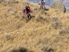Bush Pilot Biking - Kobau Stag Ride