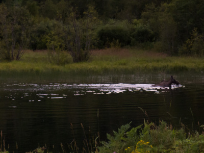 Ride Guide Retallack - Day 1