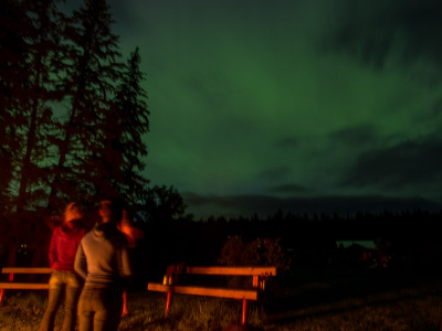 Singletrack Stampedin' - Prologue